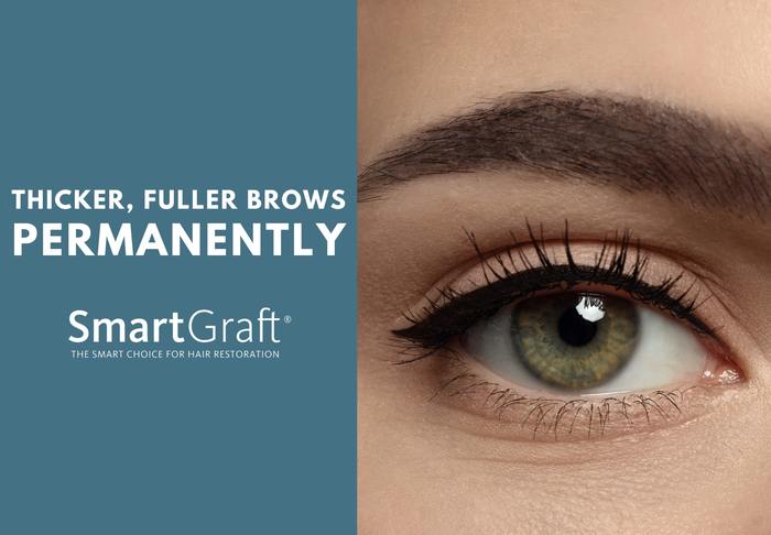 thicker eyebrows with smartgraft